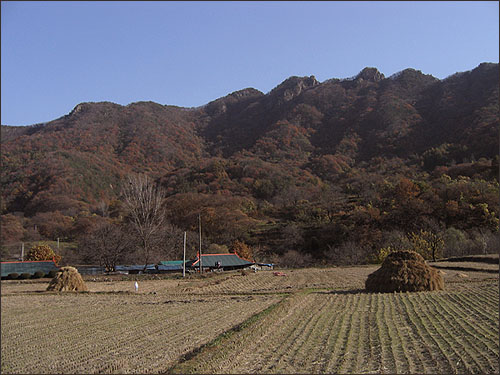 신선봉(우)에서 장군봉(좌) 쪽으로 이어지는 산줄기들. 이곳은 아직도 단풍이 한창이었습니다. 